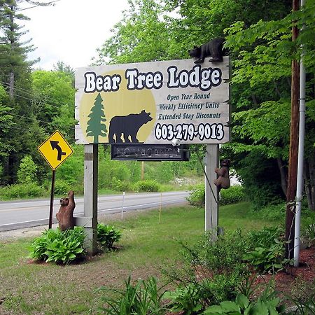 Bear Tree Lodge Weirs Beach Dış mekan fotoğraf
