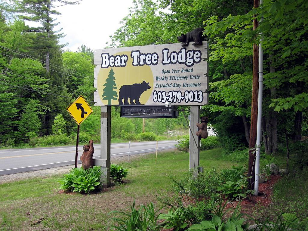 Bear Tree Lodge Weirs Beach Dış mekan fotoğraf